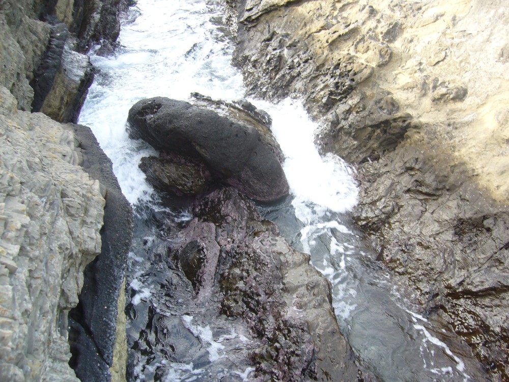 P1000675.JPG