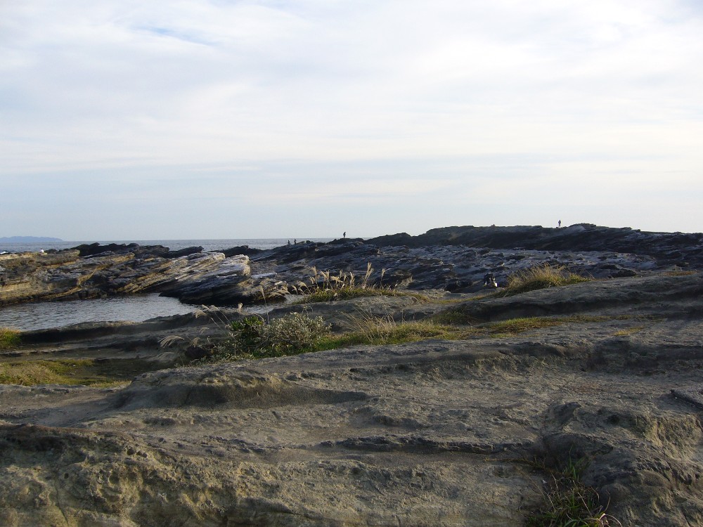 P1000689.JPG