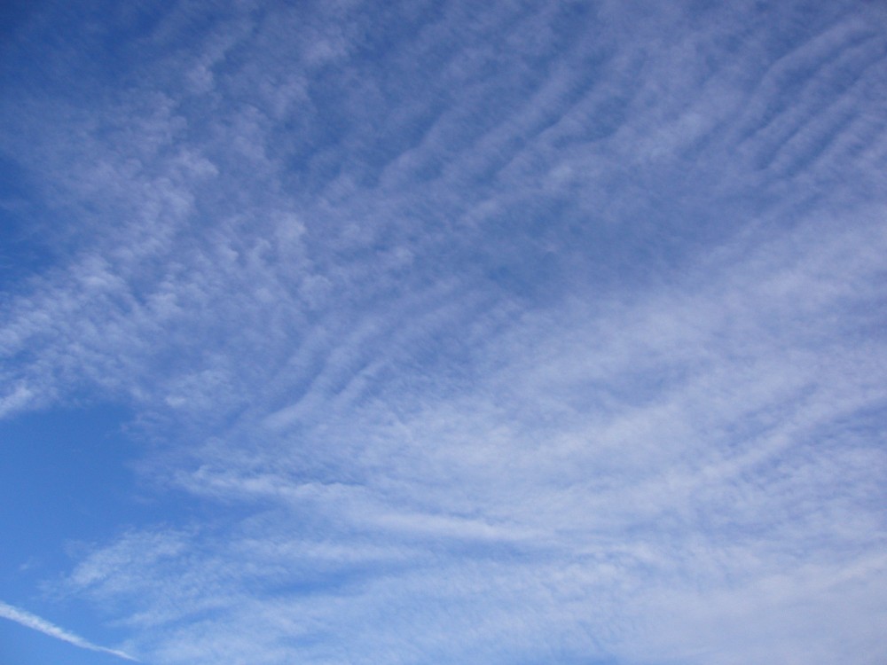 P1000691.JPG