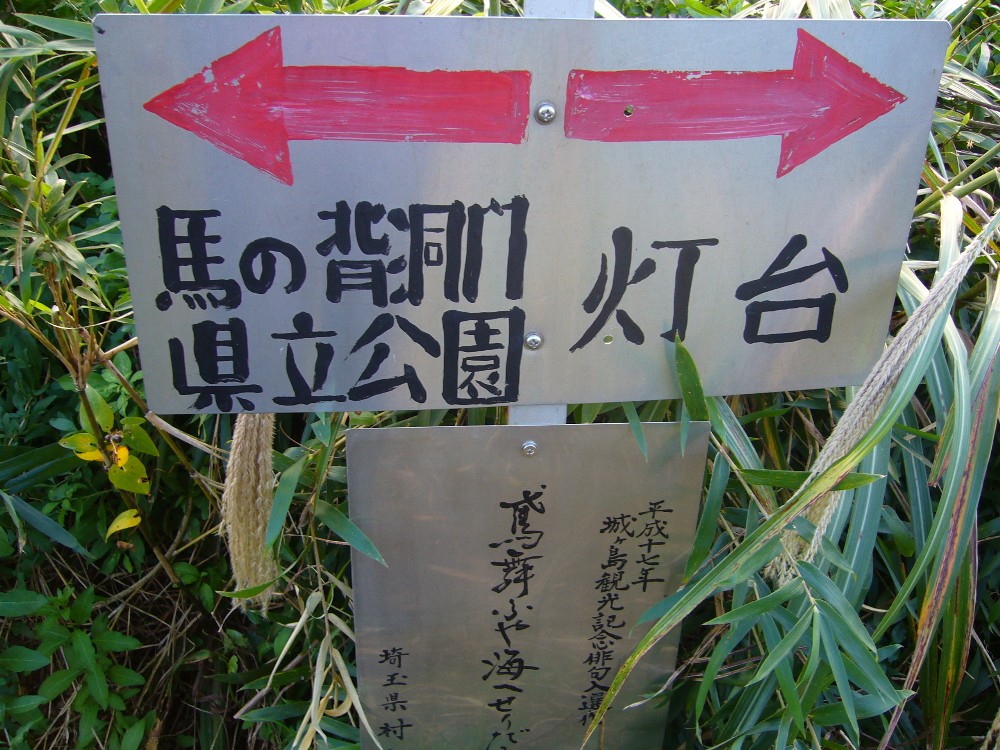 P1000706.JPG