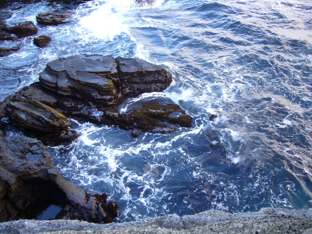P1000723.JPG