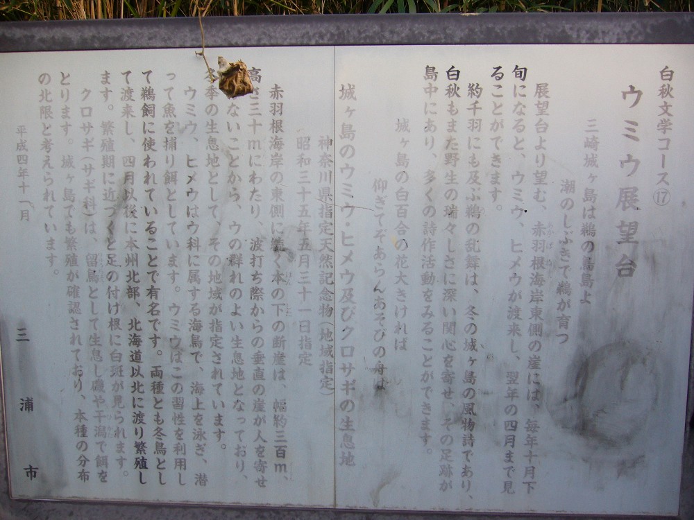 P1000734.JPG