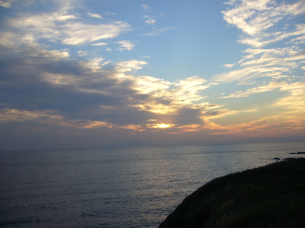 P1000747.JPG