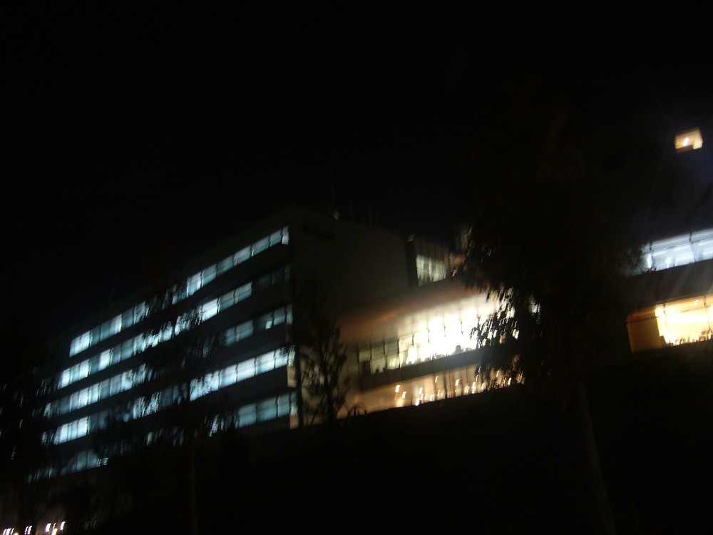 P1000766.JPG
