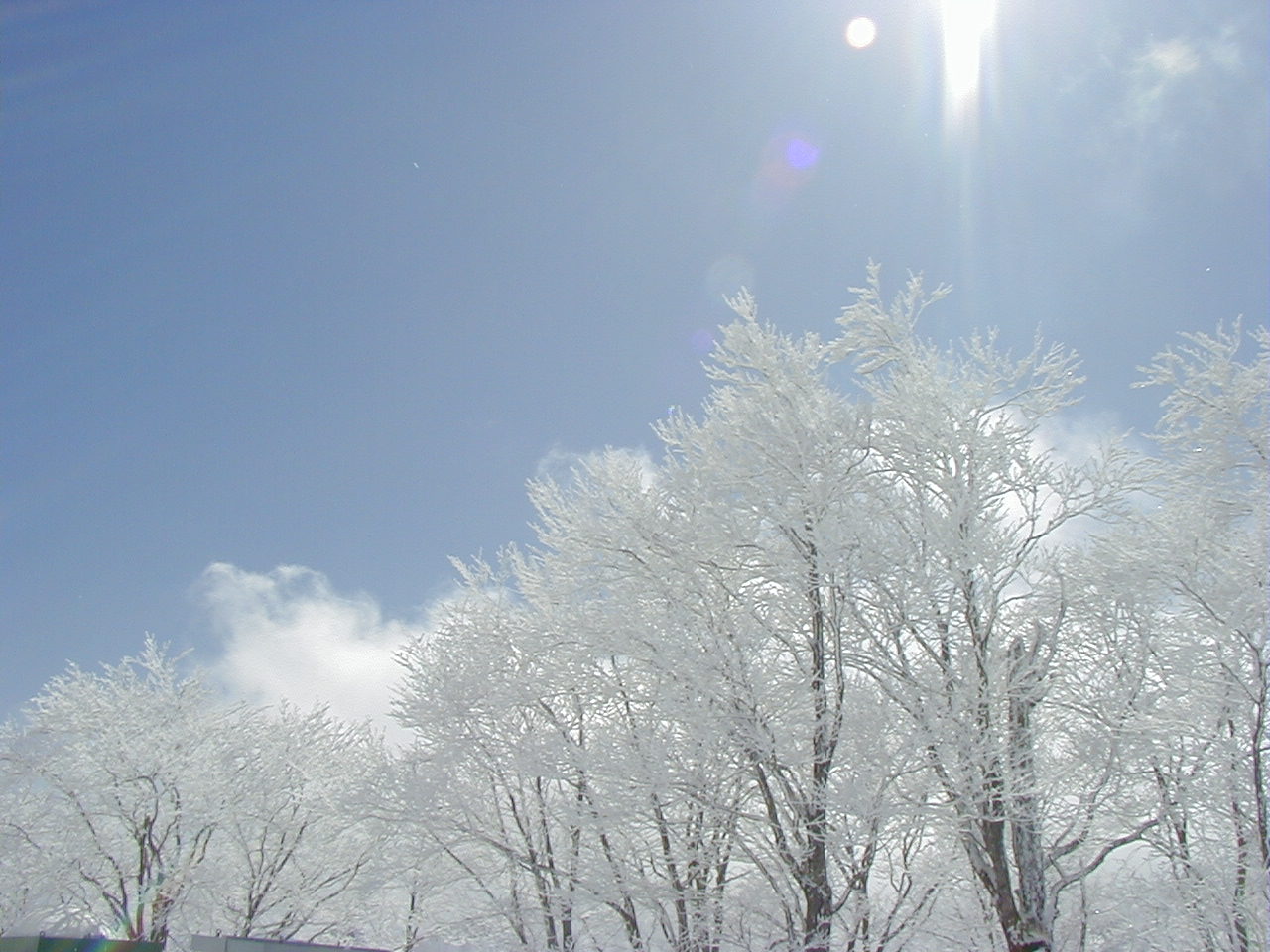 P3030057.JPG