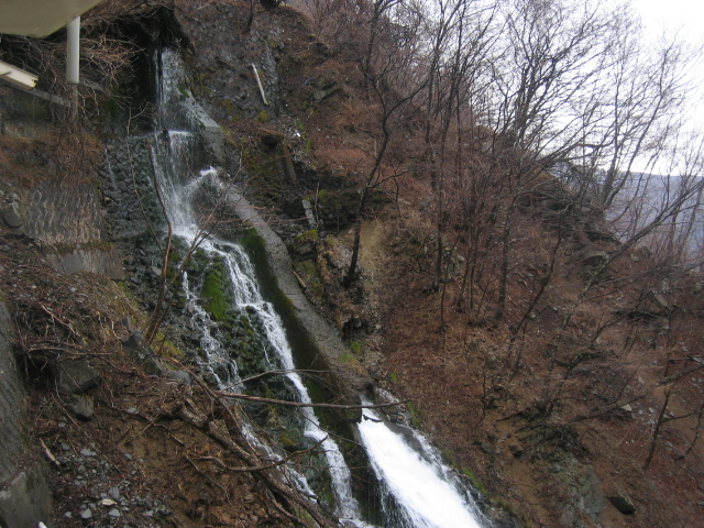 IMG_1024.JPG