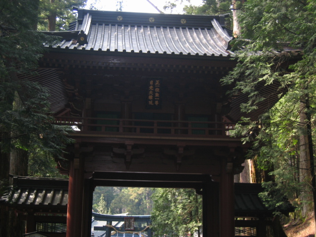 IMG_1135.JPG
