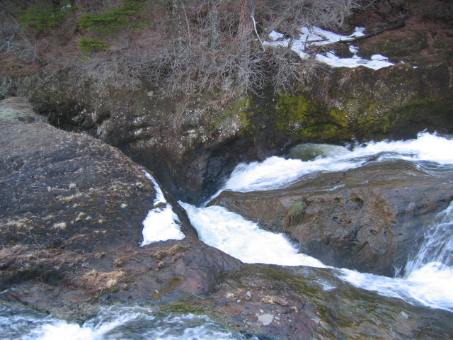 IMG_1154.JPG
