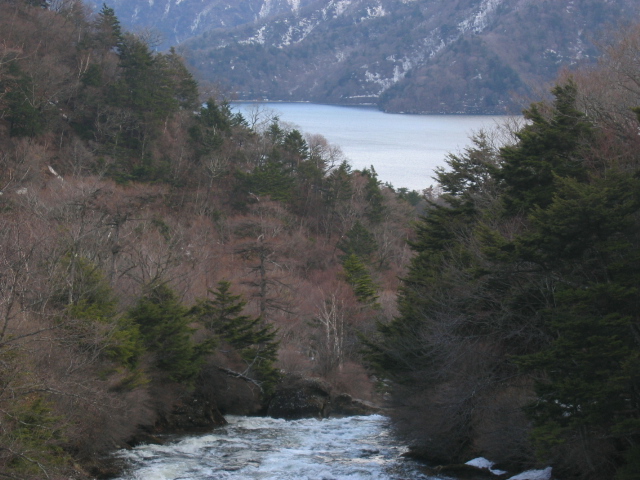 IMG_1169.JPG