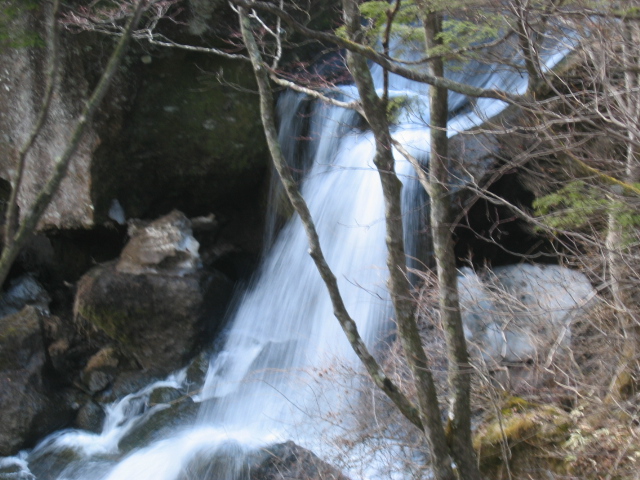 IMG_1173.JPG