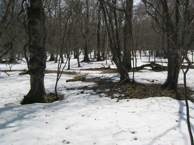 IMG_1261.JPG