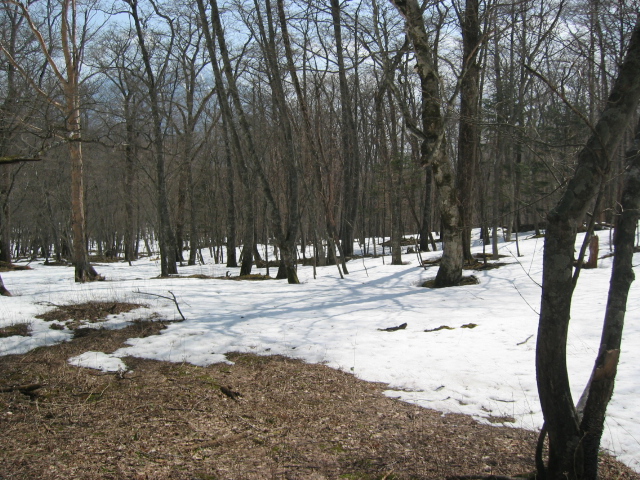 IMG_1263.JPG