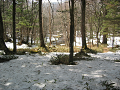 IMG_1272_thumb.png