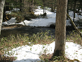 IMG_1275_thumb.png