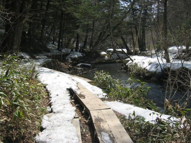 IMG_1289.JPG