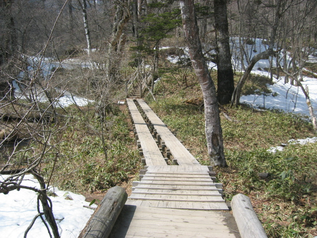 IMG_1302.JPG