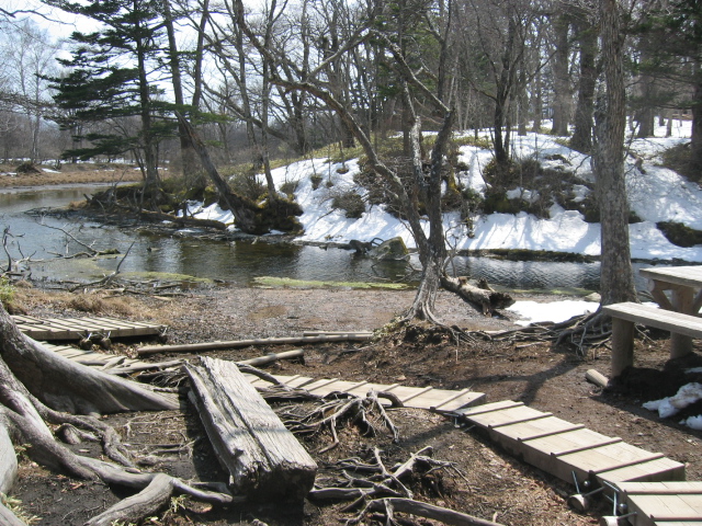 IMG_1305.JPG
