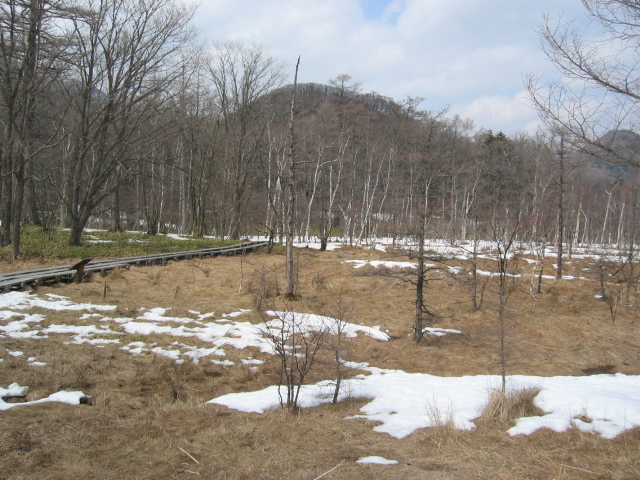 IMG_1313.JPG