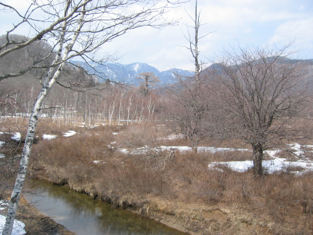 IMG_1316.JPG