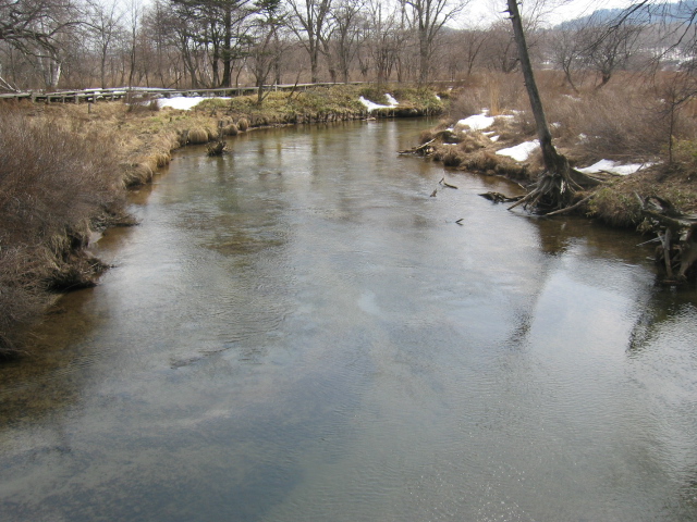 IMG_1325.JPG