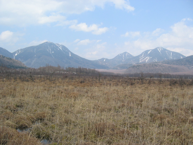 IMG_1335.JPG