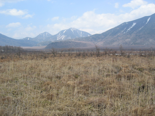 IMG_1337.JPG
