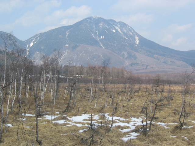 IMG_1340.JPG