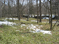 IMG_1358_thumb.png