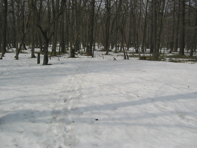 IMG_1365.JPG