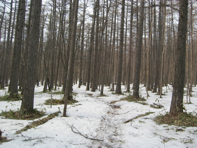 IMG_1368.JPG