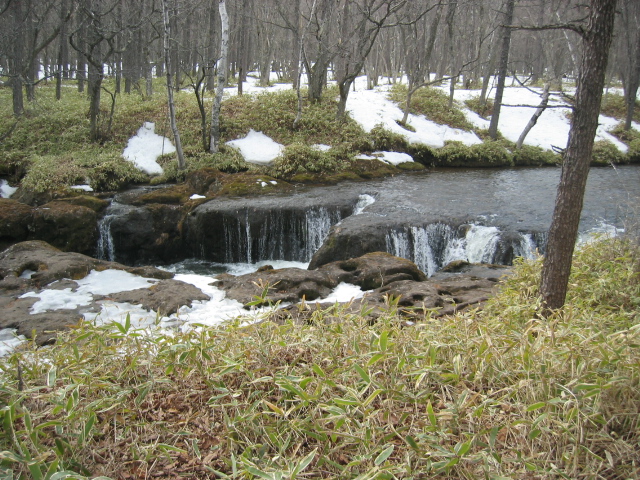 IMG_1379.JPG