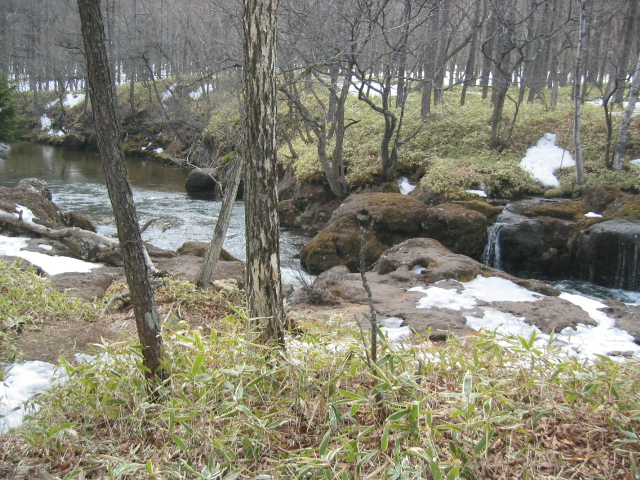 IMG_1381.JPG