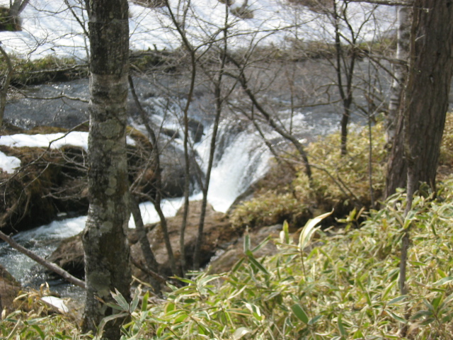 IMG_1382.JPG