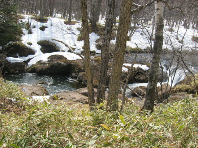 IMG_1383.JPG