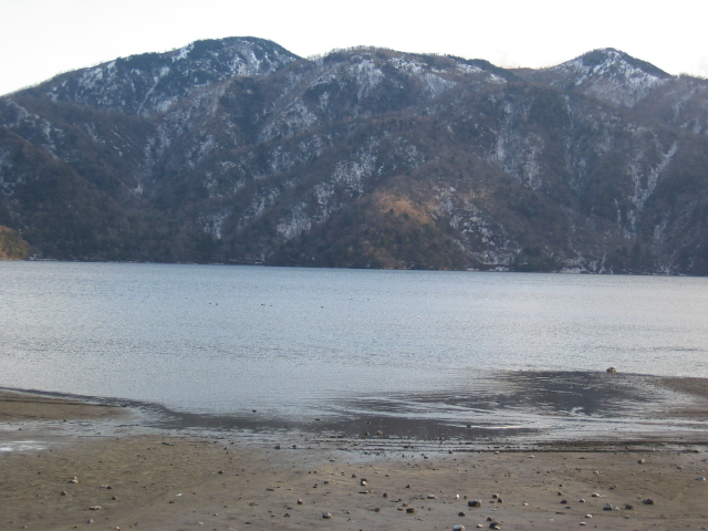 IMG_1178.JPG