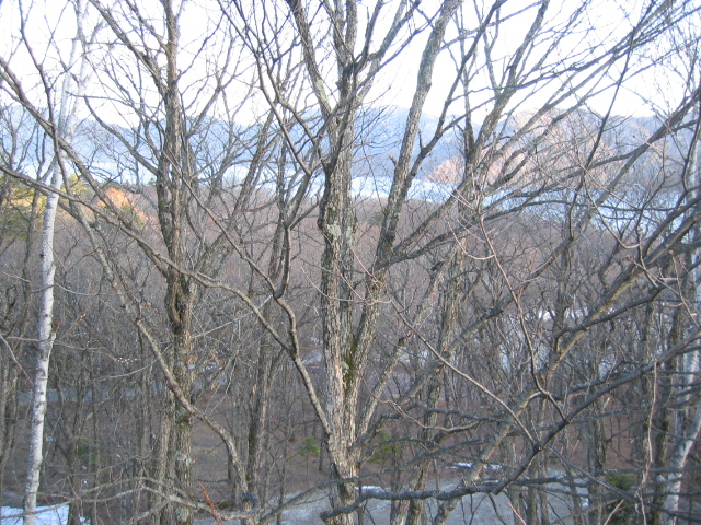 IMG_1182.JPG