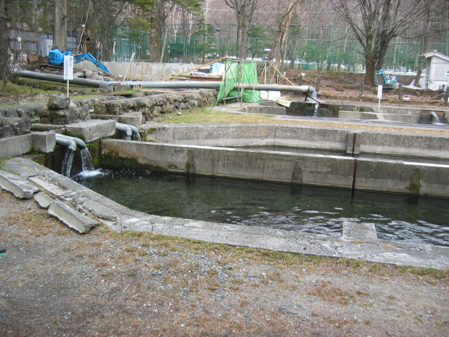 IMG_1398.JPG
