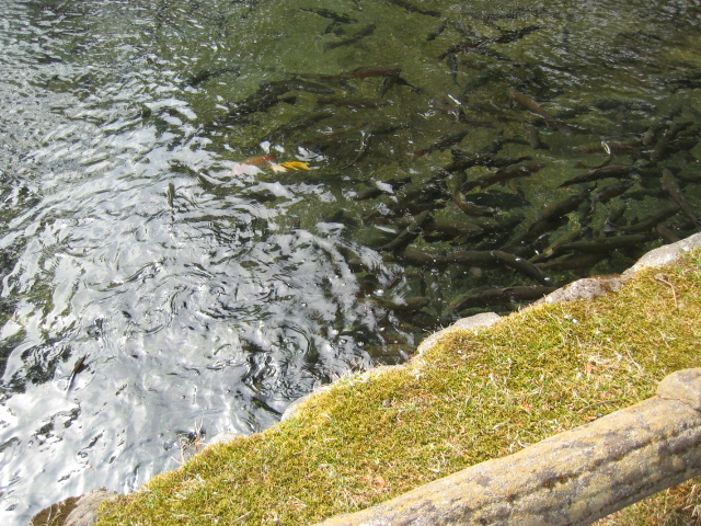 IMG_1400.JPG