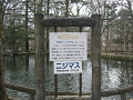 IMG_1401_thumb.png