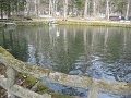 IMG_1402_thumb.png