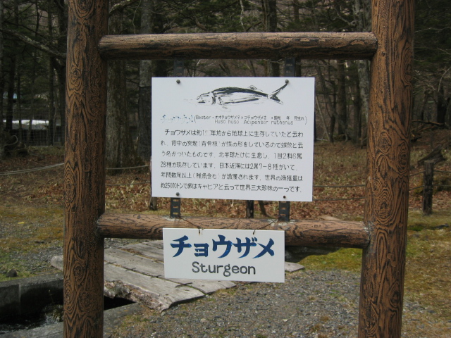 IMG_1406.JPG