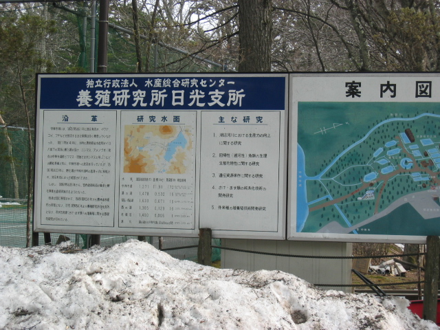 IMG_1414.JPG