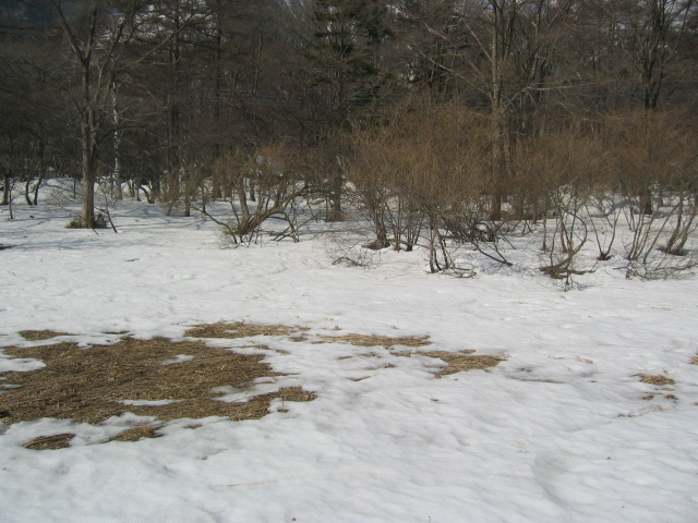 IMG_1199.JPG