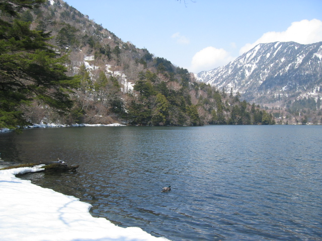 IMG_1233.JPG