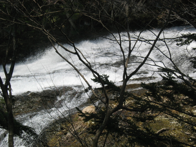 IMG_1248.JPG