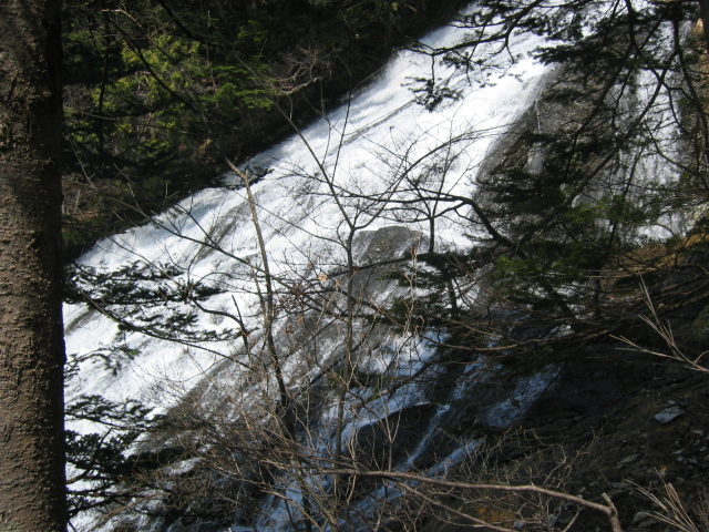IMG_1252.JPG