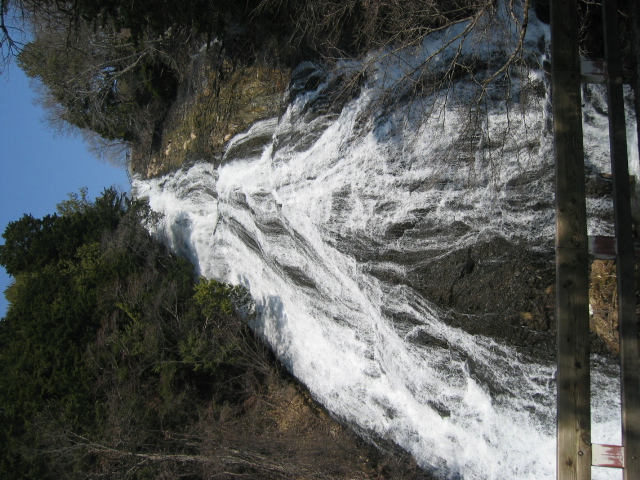 IMG_1255.JPG