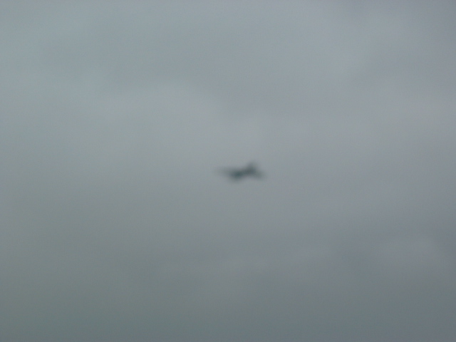 IMG_1919.JPG