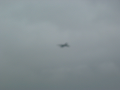 IMG_1919_thumb.png