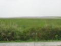 IMG_1923_thumb.png
